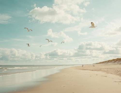 Online Yoga-Training The ESSENCE of YOGA – ganzheitlich, klar und verkörpert