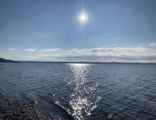 Verkörperung – Fluss, Grenze und innere Orientierung