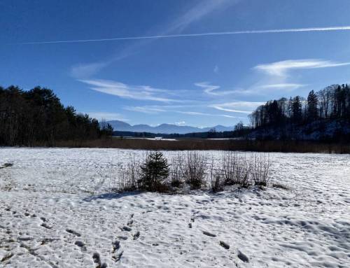 Verkörperung und Yoga – Yoga & Präsenz jenseits von Konzepten